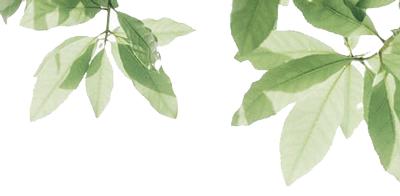 「直通校园」摘金夺银,赛场从不缺少“真英雄”——万柏林区兴华西街小学