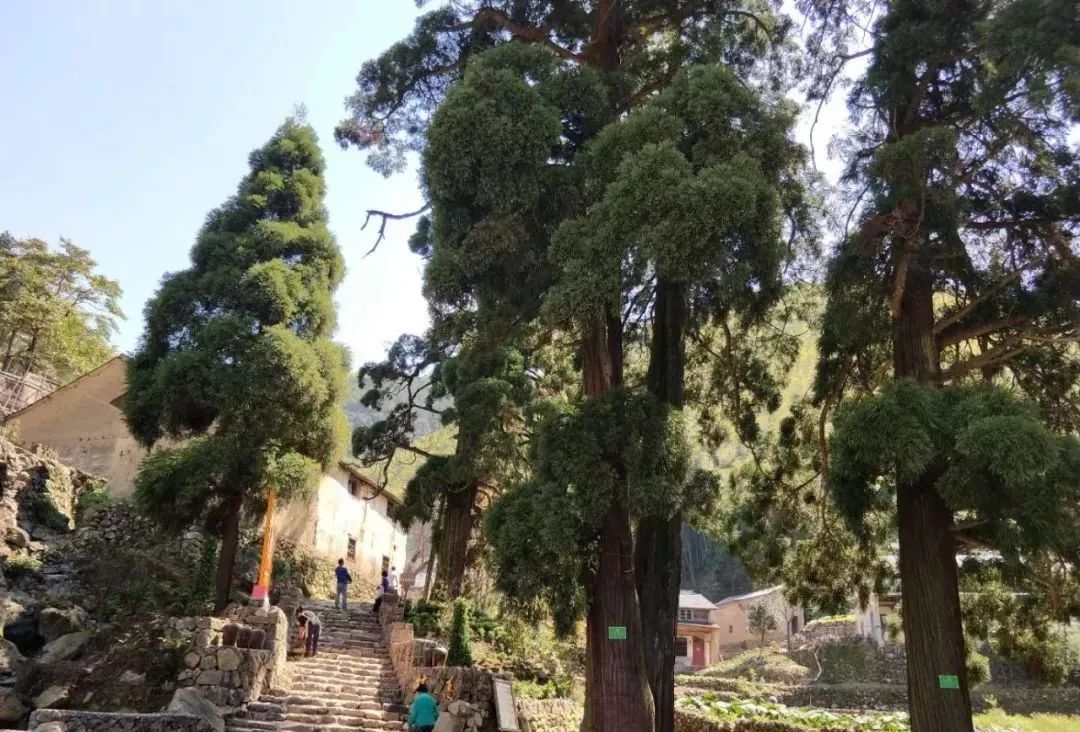 有没有最近很火的古装剧,那些让人惊艳的古装剧