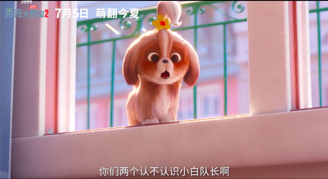 穿西装的宠物狗走路,穿moncler的男生