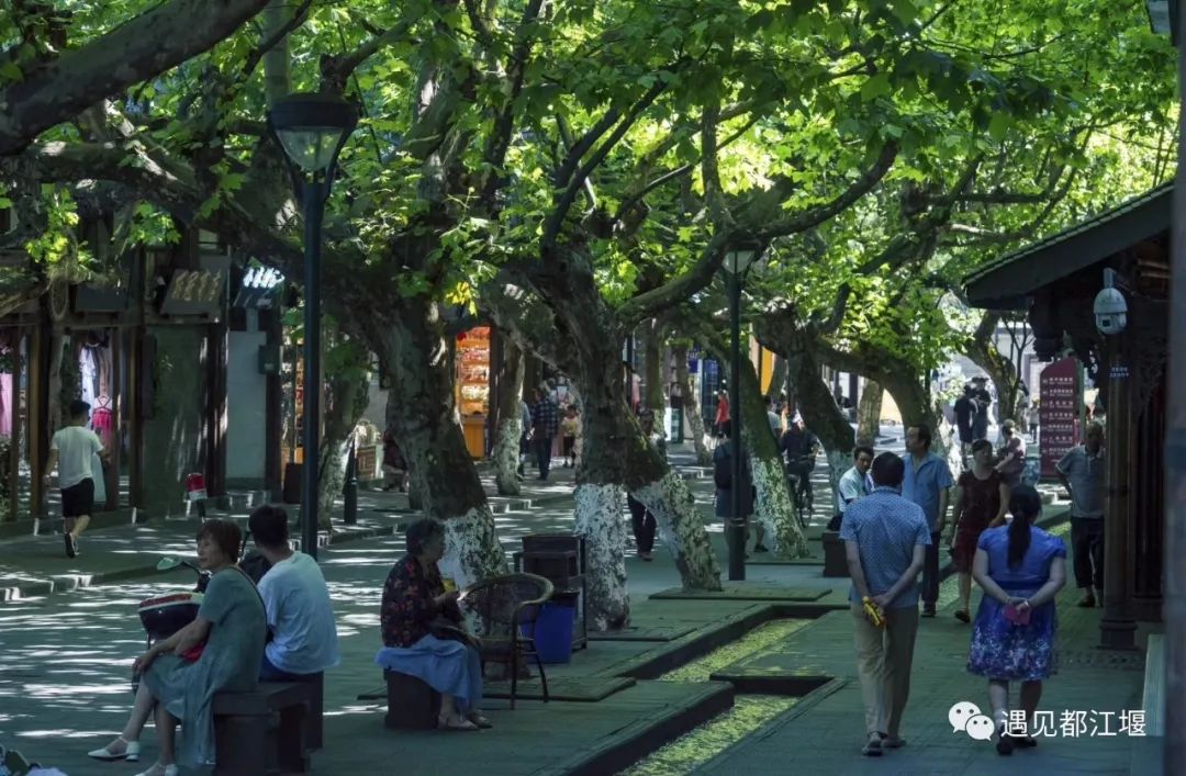 向往之城都江堰：一座骨子里带有香味的城市！