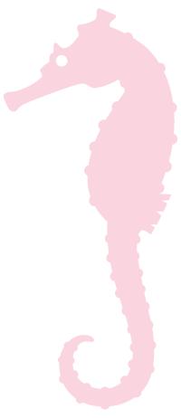 这桃子真甜,比金秋红蜜还好吃的桃子