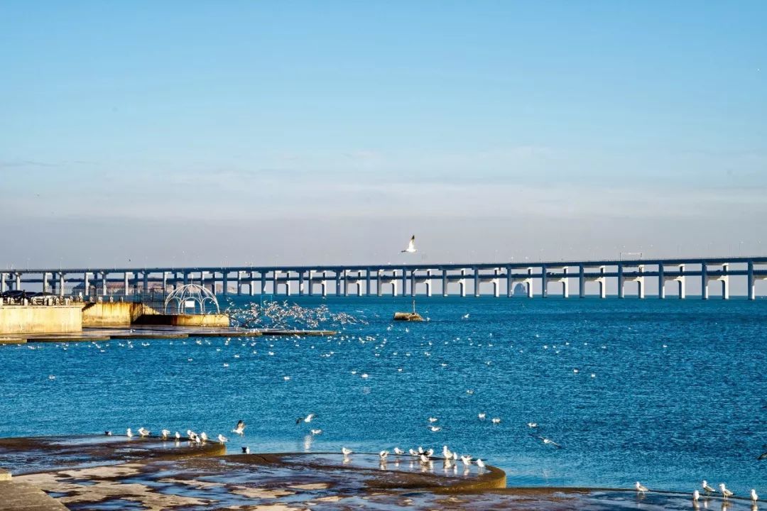 厦门青岛之旅,出行去厦门