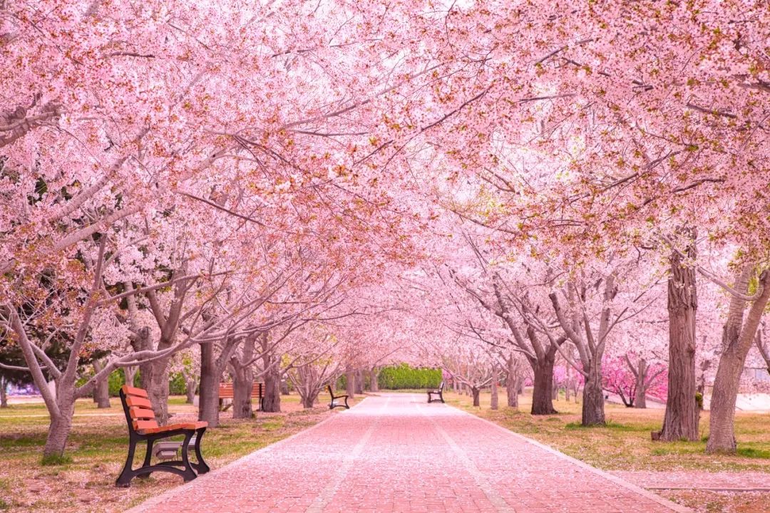 厦门青岛之旅,出行去厦门