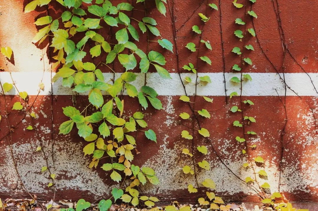 厦门青岛之旅,出行去厦门