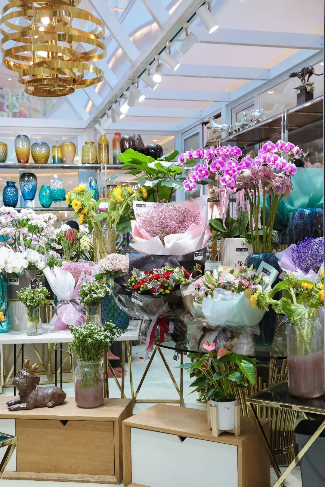 号外优惠团购,三叶草五折秒杀