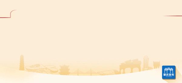 肇庆近光灯抓拍,肇庆交警抓拍黄灯