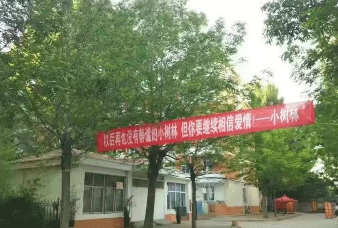 催人泪下的毕业横幅,本科毕业典礼横幅