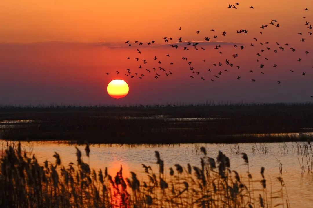 江苏的世界遗产旅游景区,江苏哪些地方被列入世界文化遗产