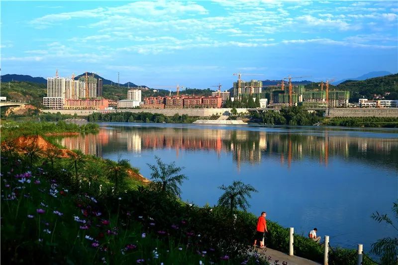 石泉|“鱼”生请多指教