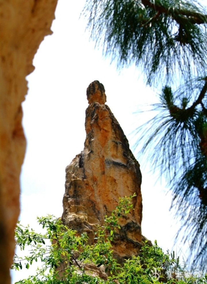带您走进陆良彩色沙林风景,陆良彩色沙林风景区今年人多不多