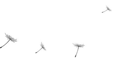 雅致梦溪山庄餐厅抖音团购,雅致梦溪山庄下午茶