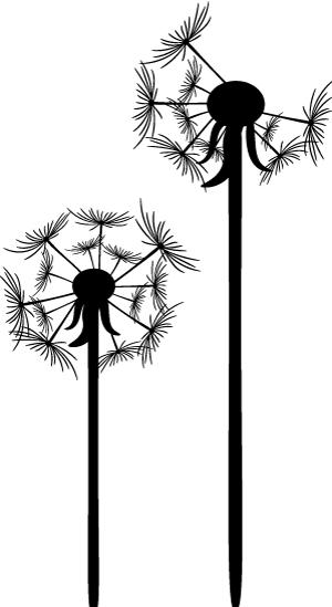 南翔：生活中处处是生态、自然景象