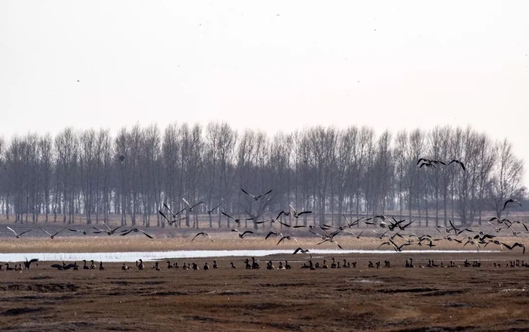 江苏的世界遗产旅游景区,江苏哪些地方被列入世界文化遗产