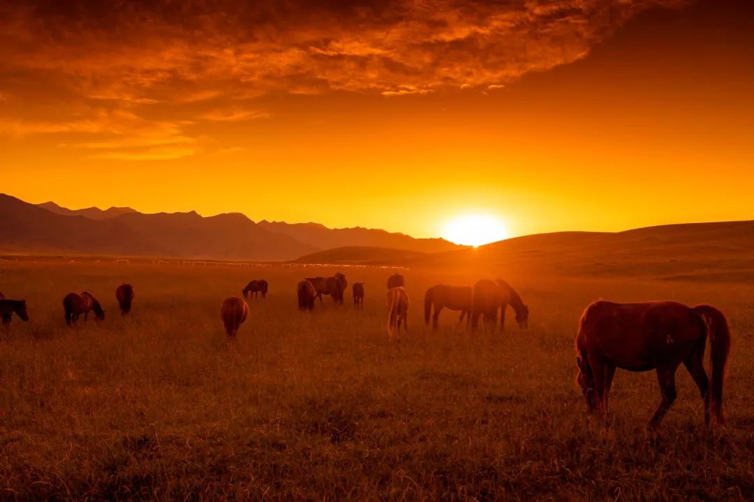 什么是张掖文案,什么是甘肃省