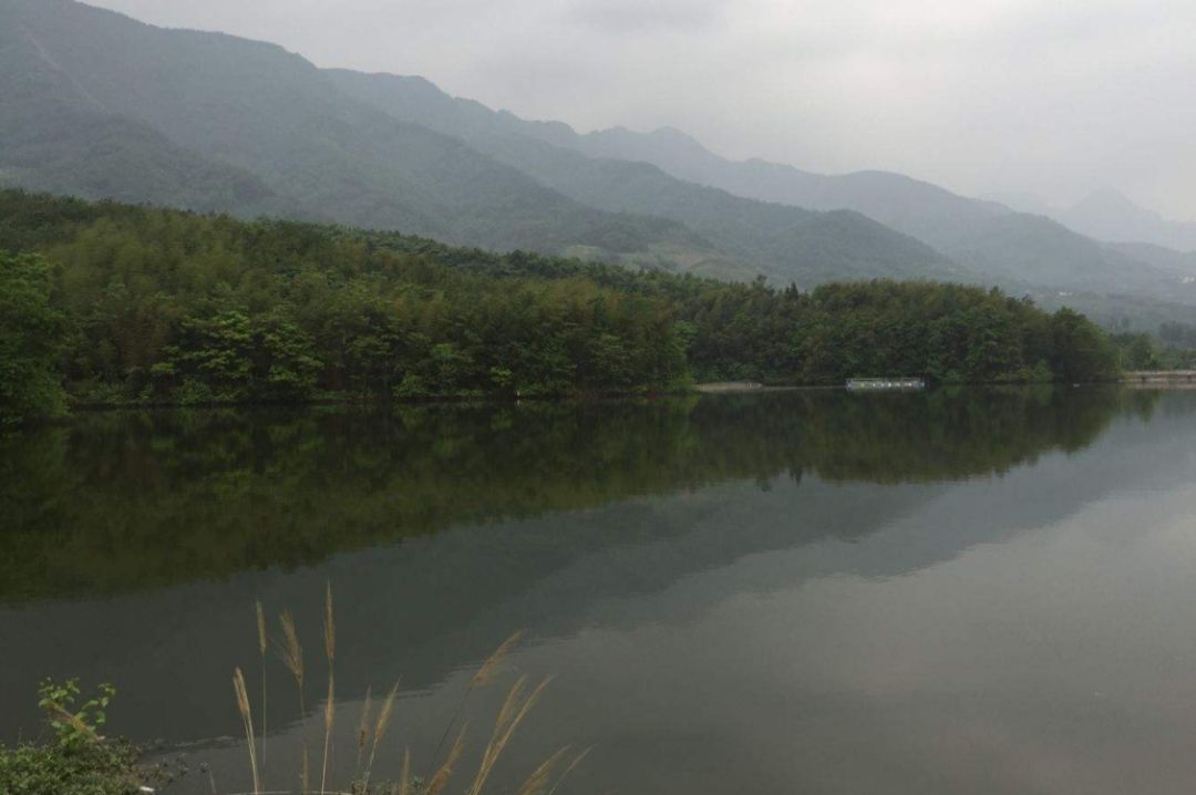 【方志四川•技艺拾珠】罗明山树皮接断骨