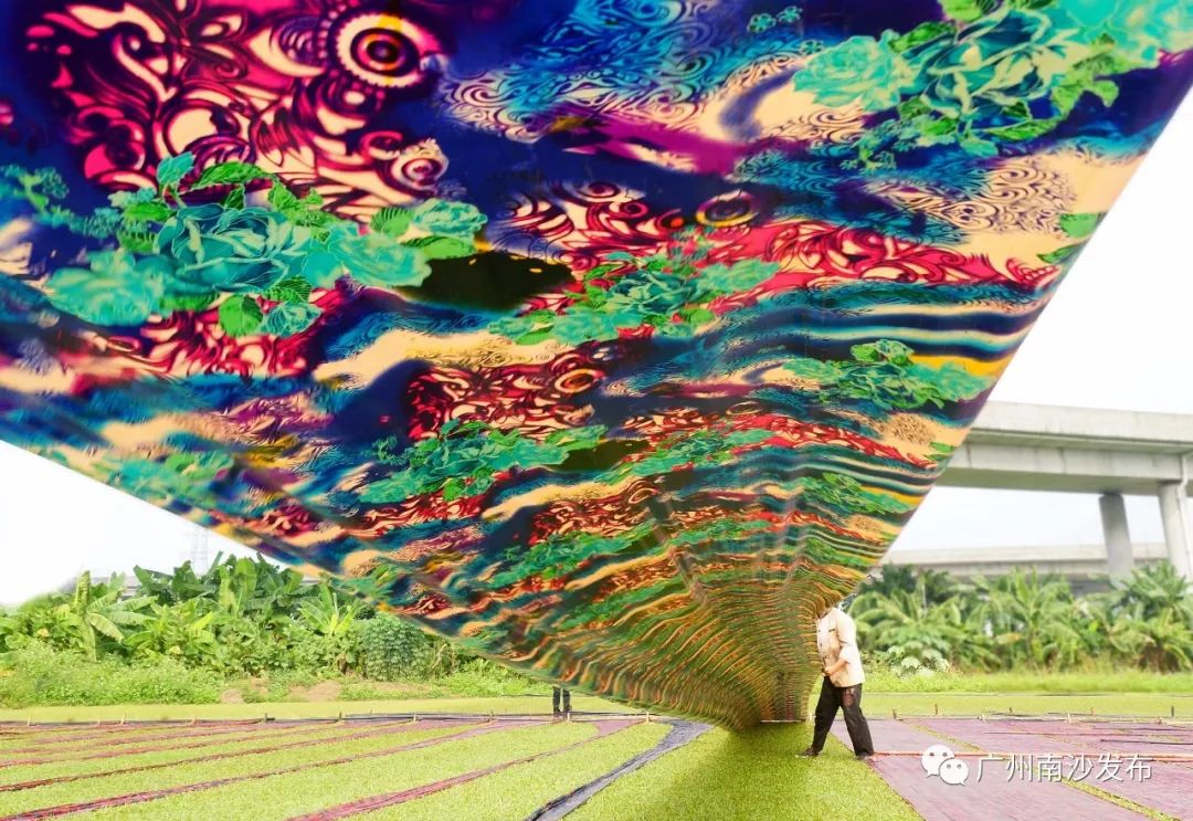 南沙新母港邮轮,南沙母港邮轮