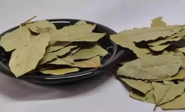 米里发现小黑虫,家里米缸里有黑色虫子如何消灭