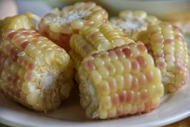 鑵惧啿鐑捣鏅尯鍏崄宀佸厤绁ㄥ悧,浜戝崡鑵惧啿鐑捣鍏洯鏅浠嬬粛