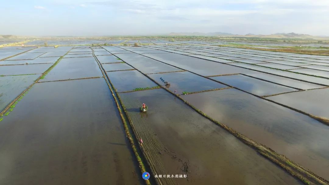 岳额日敦木图:这是美丽家乡科右中旗