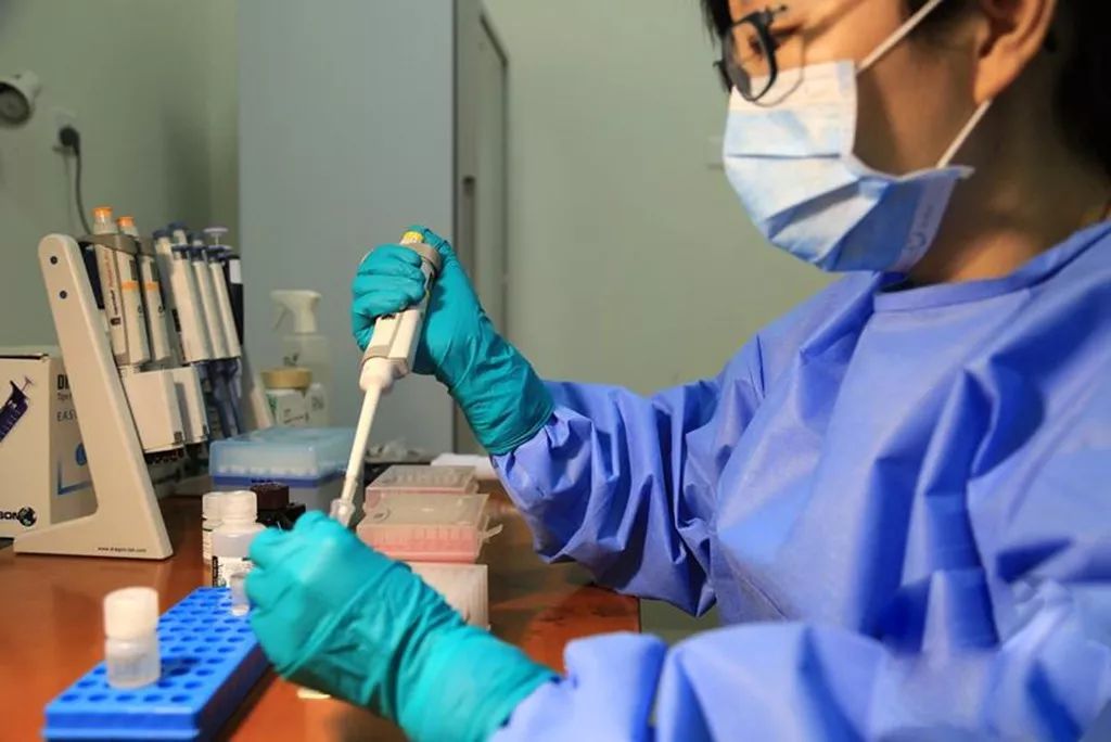 可以体验买买买的游戏,疯狂买买买的游戏