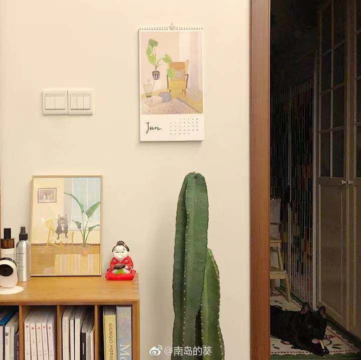 断舍离女人插画,断舍离收纳达人整理房间视频日本