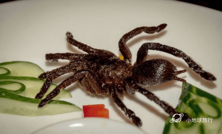 缅甸一日游经典攻略,缅甸旅游3-4天攻略最佳线路