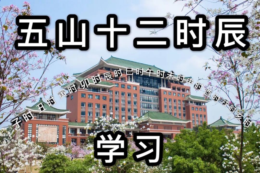 中国十二时辰图鉴,十二时辰攻略