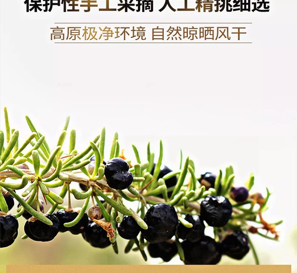 它被誉为什么,它被誉为养生圣品