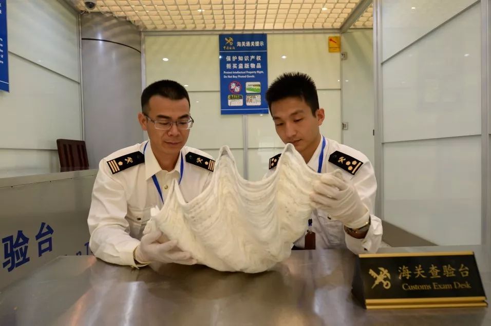 出国旅游需带日用品,义乌小商品出国必备