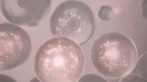 懒人美白黑科技,黑科技一秒变白的神器