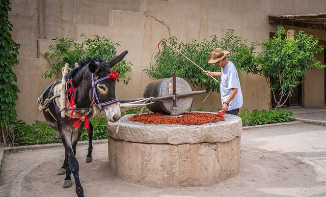 没想到，真有人在大漠建了一座能看星星的边城驿站