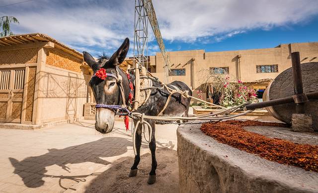 没想到，真有人在大漠建了一座能看星星的边城驿站