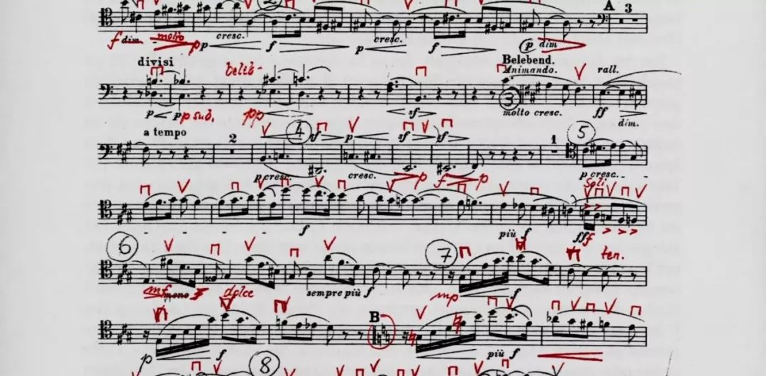 卡洛斯克莱伯指挥的新年音乐会,卡洛斯克莱伯指挥卡门