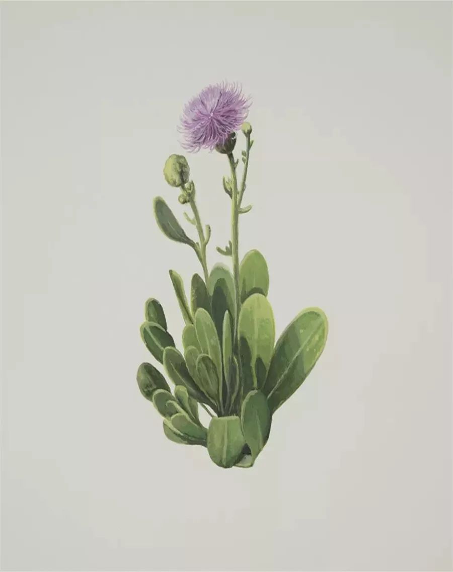 7月份北京艺术展览推荐,北京7月展览活动2018