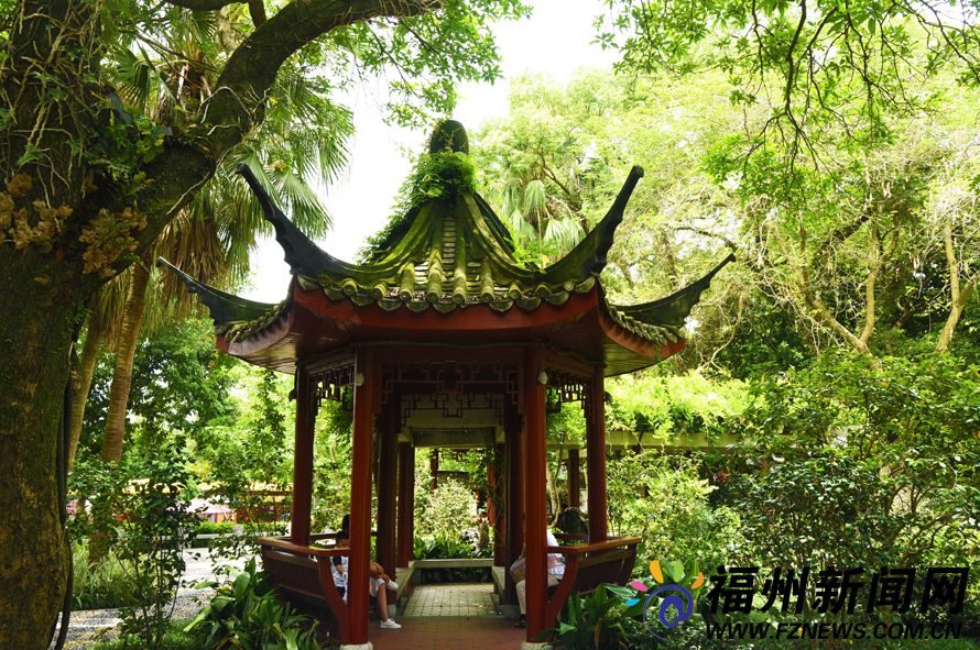 那些夏日让你凉快的美图,夏日避暑美图