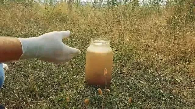 可乐真的会导致骨质疏松吗,可乐腐蚀骨头辟谣