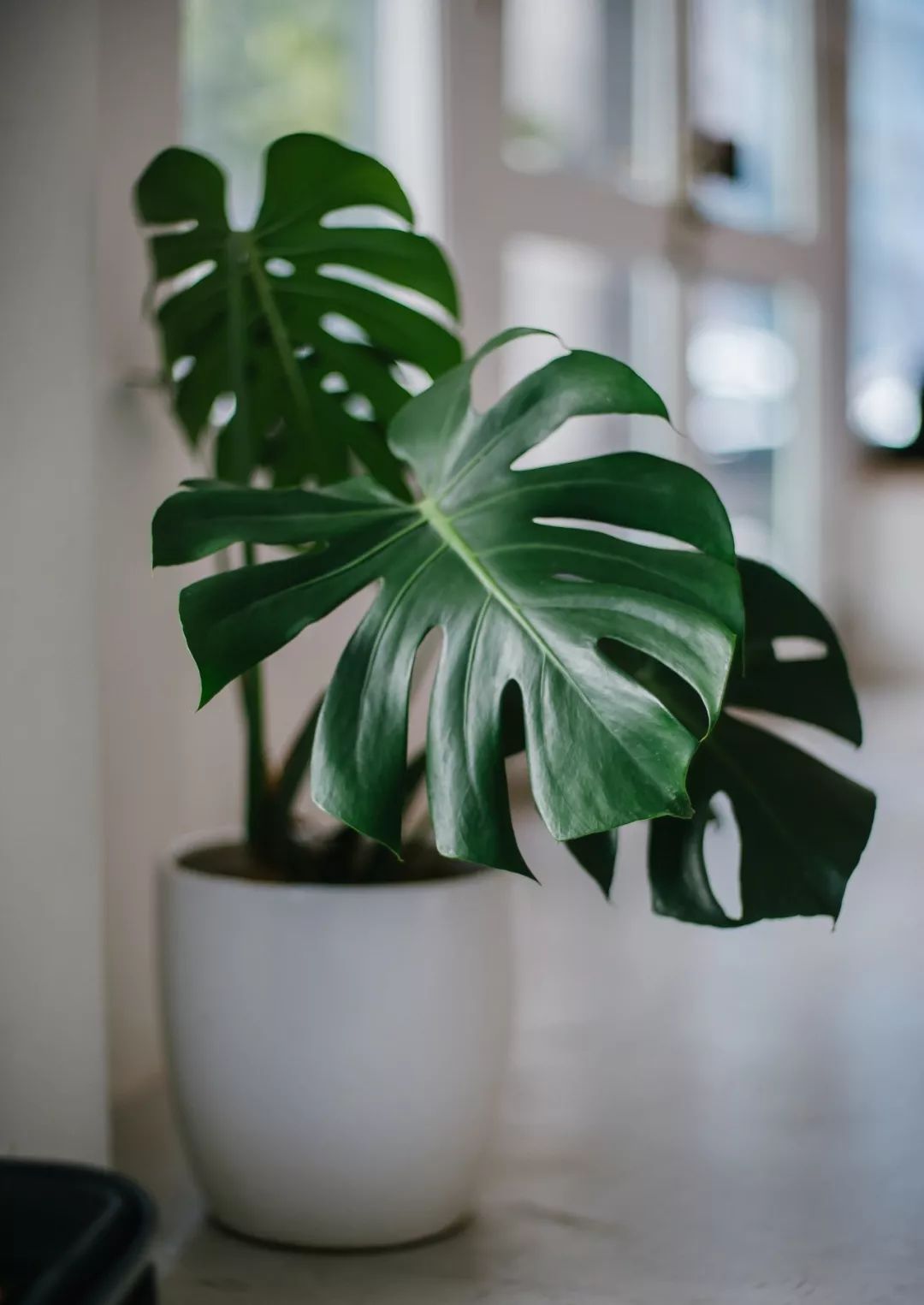 空调房老是有异味怎么办,空调房里感觉有臭味怎么回事