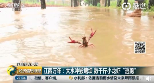 郑州五云山开发乱象联合调查组,五云山开发乱象