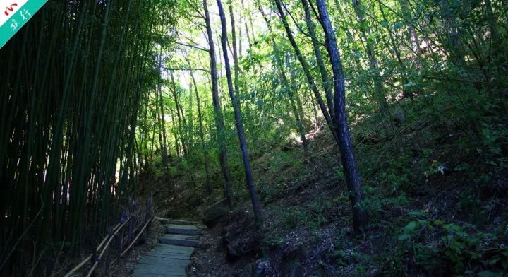 洛阳养子沟自驾游攻略,洛阳养子沟的景点