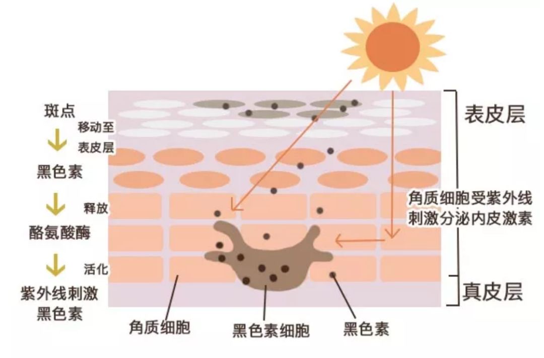 又是激凸又是露底，“蜜桃肌”的盛世美颜也有翻车时