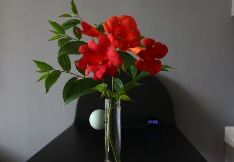 免费试住！速来撞进“青”凉时光！绝色山海之间，一家质感满分的有戏酒店，打算邀你来净化生活负能量