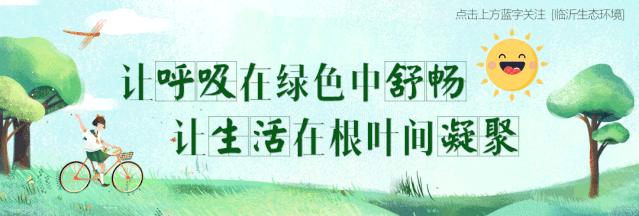 守沂蒙蓝|最新出炉，一大波蓝天美图来袭！