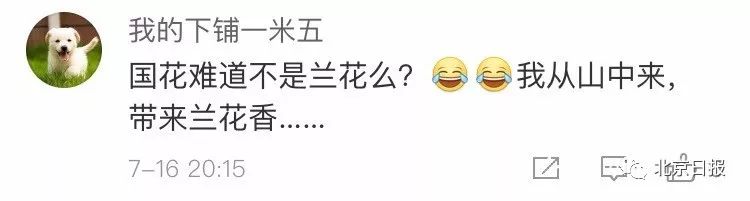 请问中国国花是不是牡丹,牡丹为什么是我国的国花50字