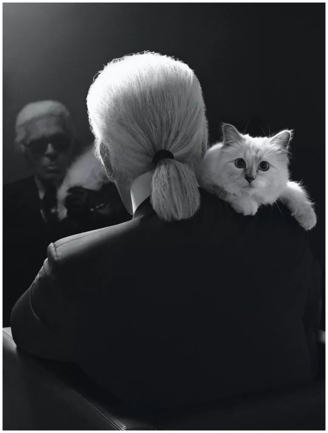 karllagerfeld的御用模特,karllagerfeld个人简历