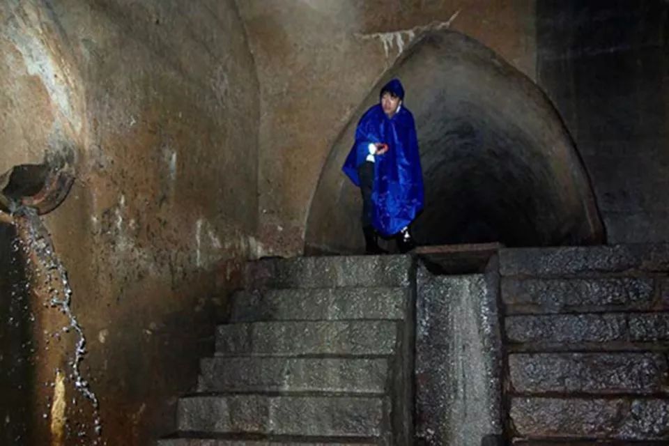 德吹为什么那么多,为什么德系在中国很火