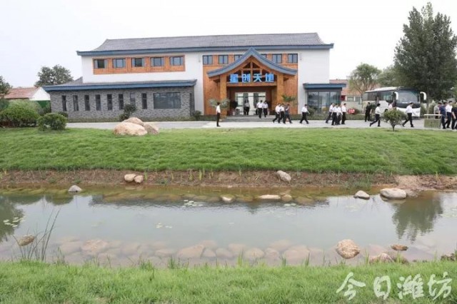 乡村振兴双百典型示范工程,乡村振兴项目四个一批