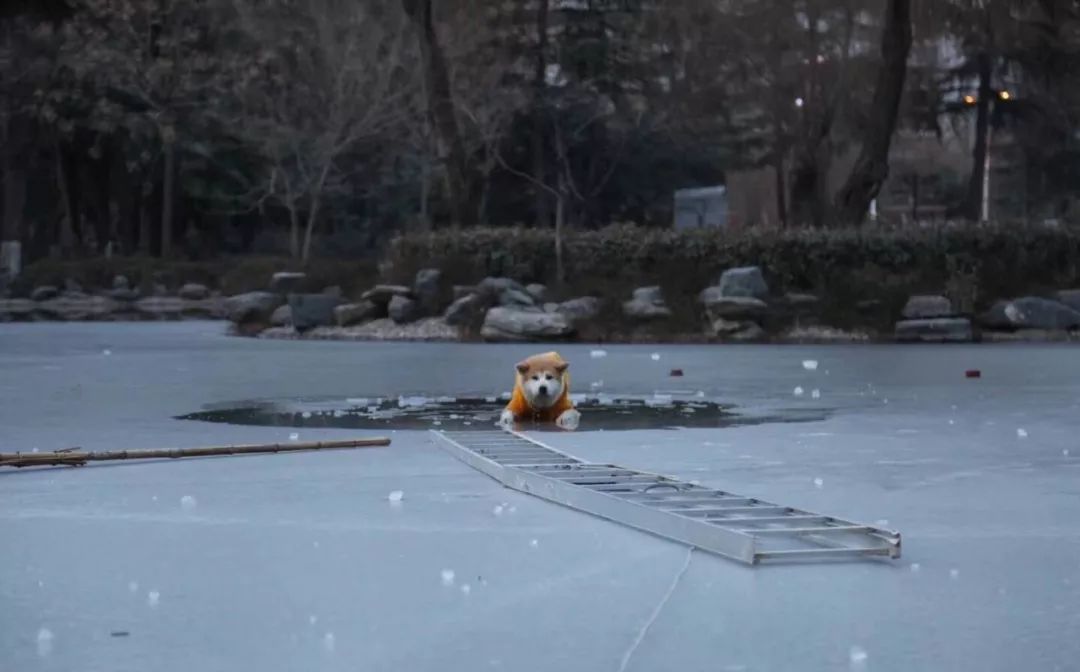 消防员才是人们心目中真正的超人,万能的消防员比什么都有安全感