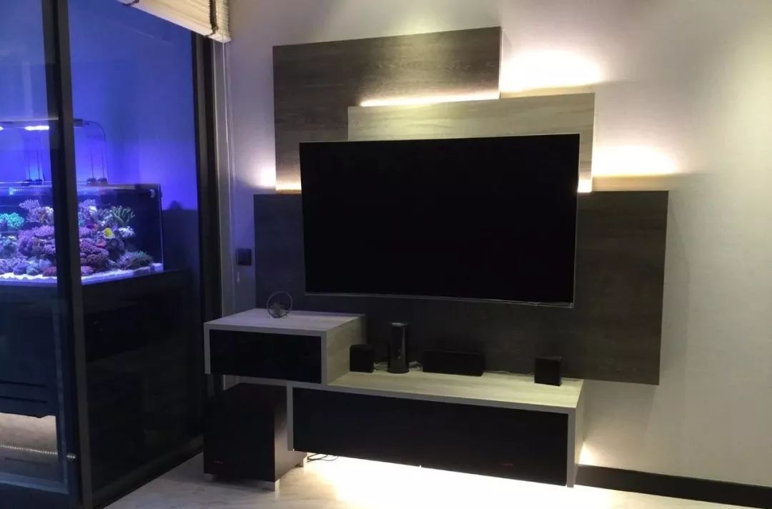 新开缸每天都有鱼死,新开缸鱼一直死