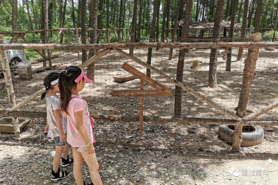 值得一去的农家乐推荐,山间农家乐值得去吗