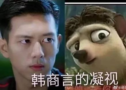 花钱减压|不在微博上买房都追不上现男友的预告了,韩商言你太上头